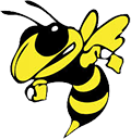 WAMS Logo